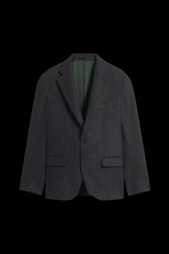 La Veste De Costume Rayée