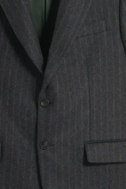 La Veste De Costume Rayée