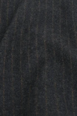 La Veste De Costume Rayée